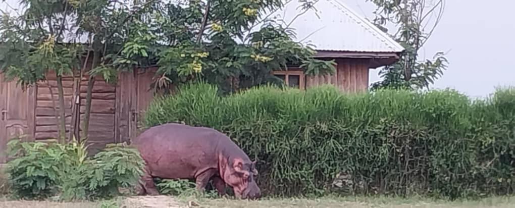 Tembo Safari Lodge Katunguru Luaran gambar